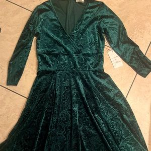 Emerald Green, Velvet dress. NWT